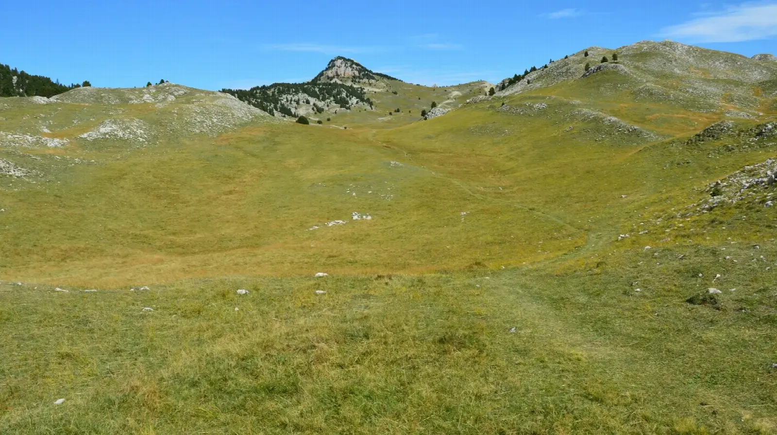 Les hauts plateaux du Vercors au printemps